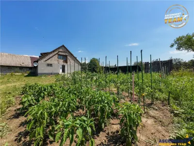 Casă 5 camere Fotos - poza 4