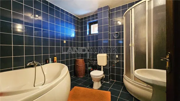 Casă 8 camere Timișoara - poza 14