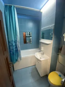 Apartament 1 camera Cluj-Napoca - poza 3