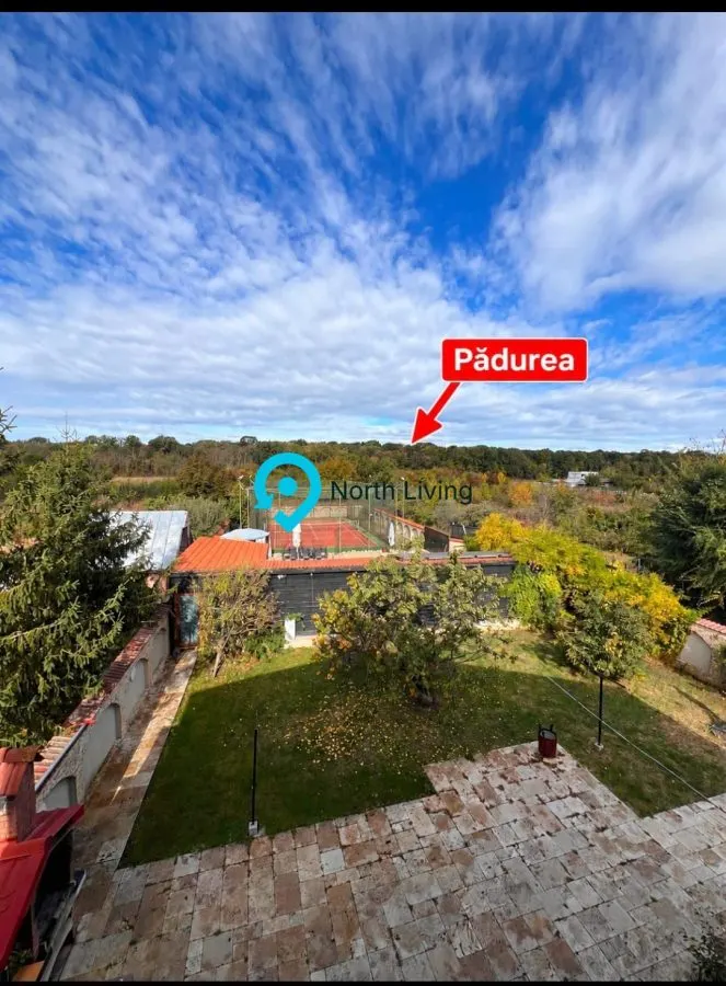 Casă 7 camere Clinceni - poza 1