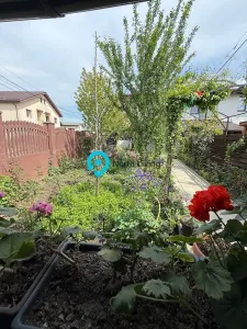 Casă 4 camere Bragadiru - poza 7