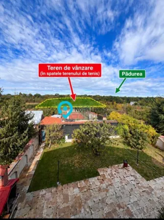 Teren Clinceni - poza 1