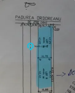 Teren Clinceni - poza 3