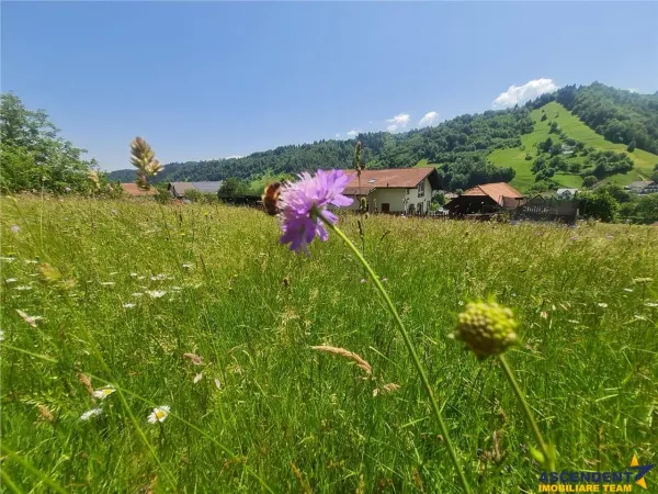 Teren Brașov - poza 15
