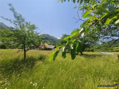 Teren Brașov - poza 19