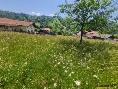 Teren Brașov - poza 21
