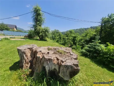 Teren Brașov - poza 24
