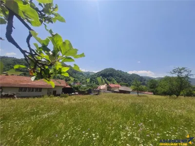 Teren Brașov - poza 25