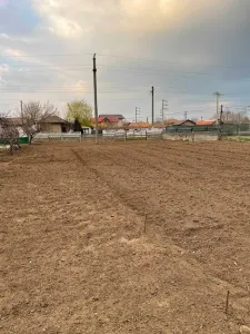 Teren Intraviland 2000mp – SAT POIANA, STRADA ALBATROS - Poiana