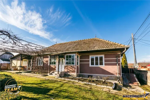 Teren Cernat - poza 38