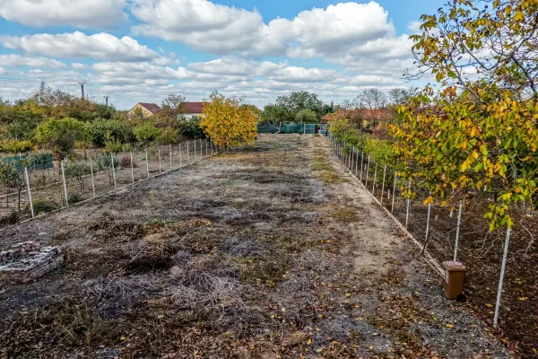Casă 3 camere Arad - poza 3