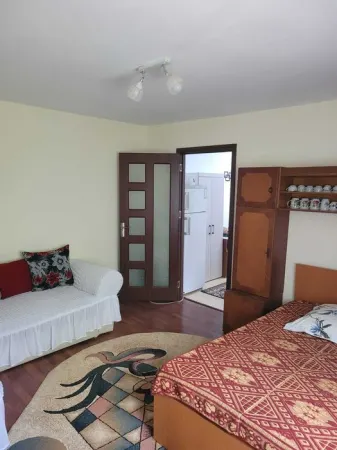 Apartament 1 camera Slobozia - poza 5