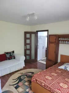 Apartament 1 camera Slobozia - poza 5