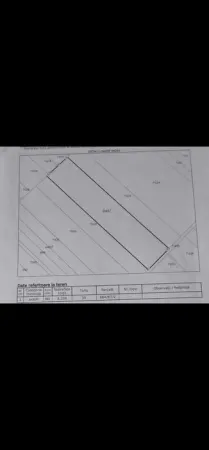 Teren Copaceni - poza 1