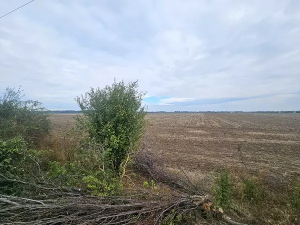 Teren Copaceni - poza 3