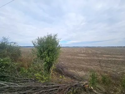 Teren Copaceni - poza 3