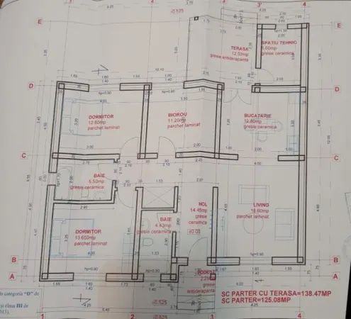 Casă 4 camere Remetea Mare - poza 12