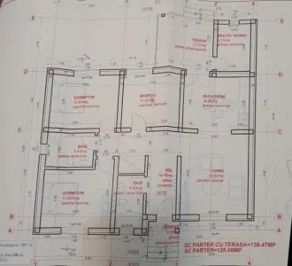 Casă 4 camere Remetea Mare - poza 12