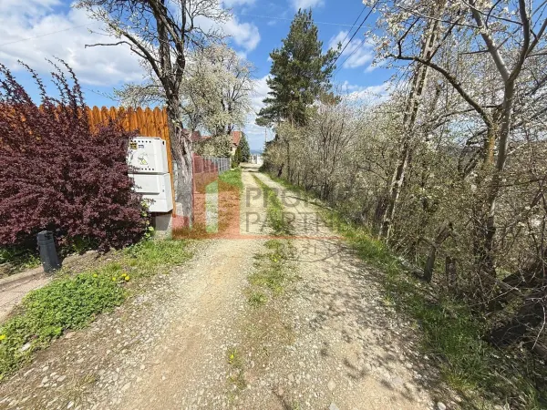 Casă 10 camere Bran - poza 41