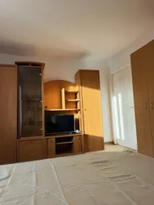 Apartament 1 camera Timișoara - poza 3