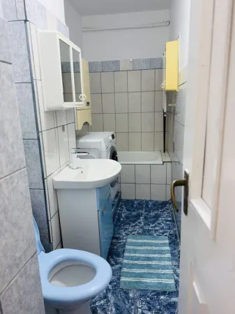 Apartament 1 camera Timișoara - poza 6
