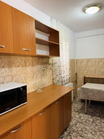 Apartament 1 camera Timișoara - poza 8