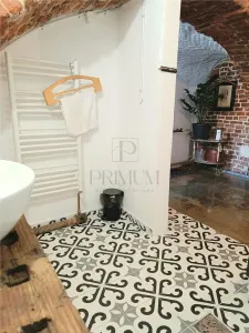 Spațiu comercial Timișoara - poza 8