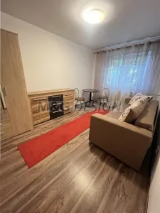 Garsonieră Timișoara - poza 3