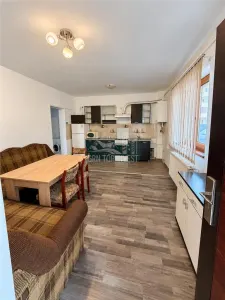 Apartament 2 camere cu gradina zona Gusterita - Sibiu