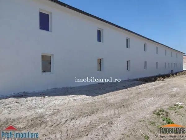 Spațiu industrial Arad - poza 8