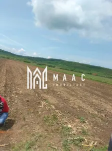 Teren extravilan de vânzare | Bradu | 10.000 mp | intabulat CF - Bradu