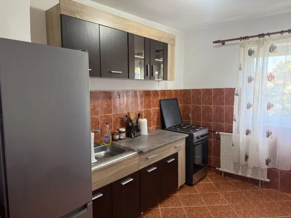 Apartament 2 camere Timișoara - poza 1