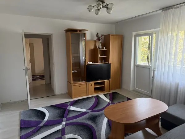 Apartament 2 camere Timișoara - poza 2