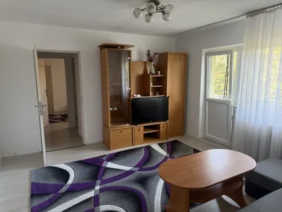 Apartament 2 camere Timișoara - poza 2