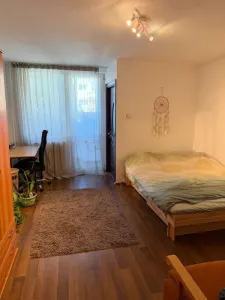 Apartament 1 camera Cluj-Napoca - poza 1