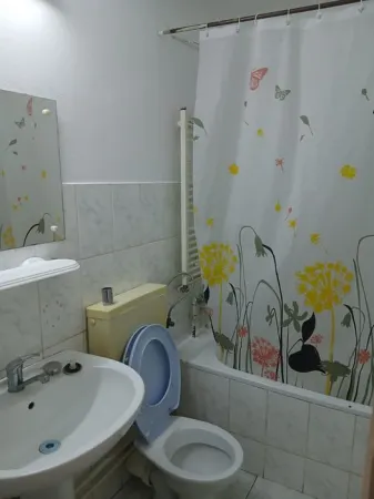 Apartament 1 camera Cluj-Napoca - poza 2