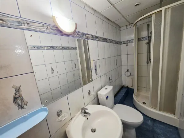 Apartament 3 camere Timișoara - poza 9