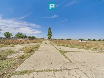 Teren Jimbolia - poza 11