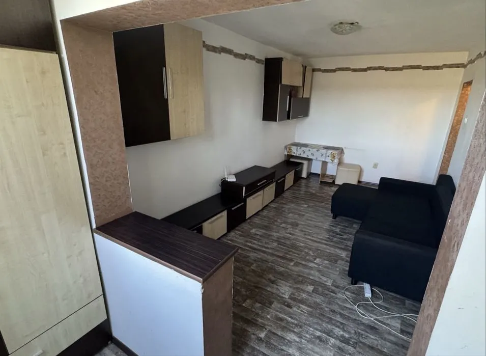 Apartament 1 camera Arad - poza 1