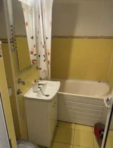 Apartament 1 camera Arad - poza 3