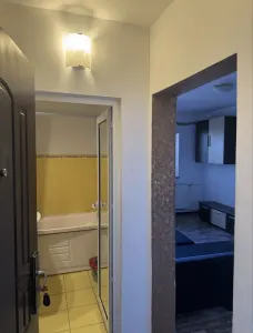 Apartament 1 camera Arad - poza 4
