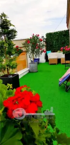 Apartament 3 camere Iași - poza 7