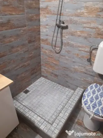 Apartament 1 camera Timișoara - poza 11