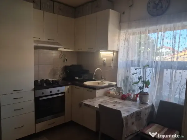 Apartament 1 camera Timișoara - poza 9