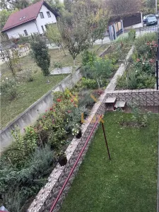 Casă 4 camere Baia Mare - poza 4