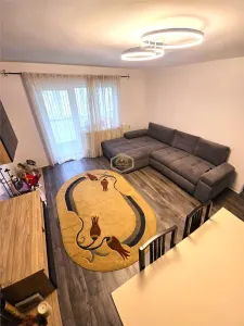 Apartament 3 camere Satu Mare - poza 2