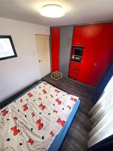Apartament 3 camere Satu Mare - poza 12