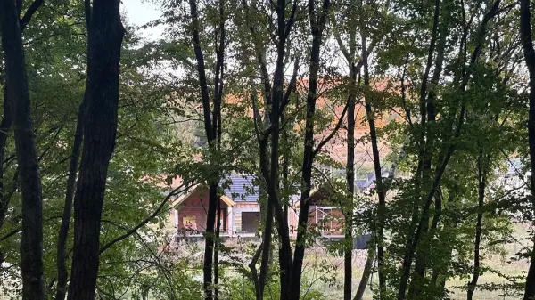 Casă 4 camere Corunca - poza 6