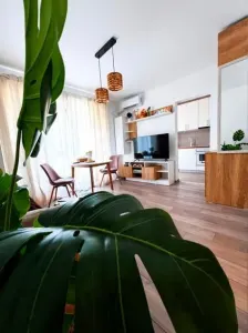 Apartament 2 camere București - poza 2