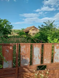 Casă 5 camere Izimsa - poza 6